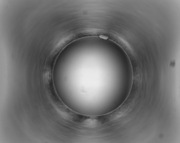 X0000091990119200709131502