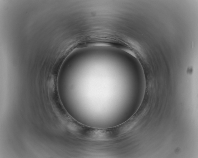 X0000091990121200709131502