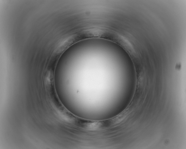 X0000091990122200709131502