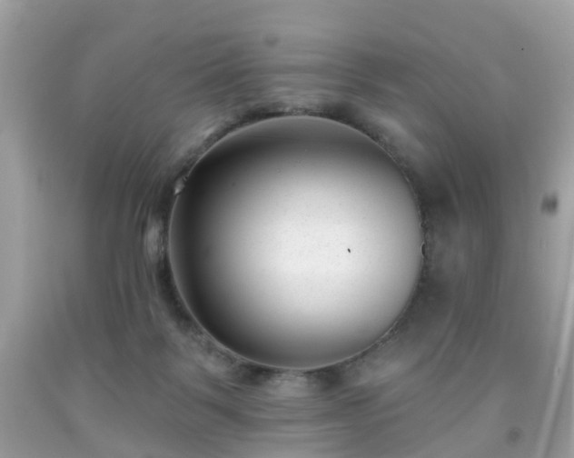 X0000091990123200709131502