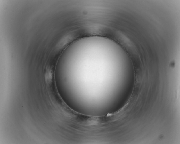 X0000091990124200709131502