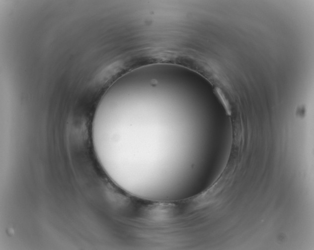 X0000091990128200709131502