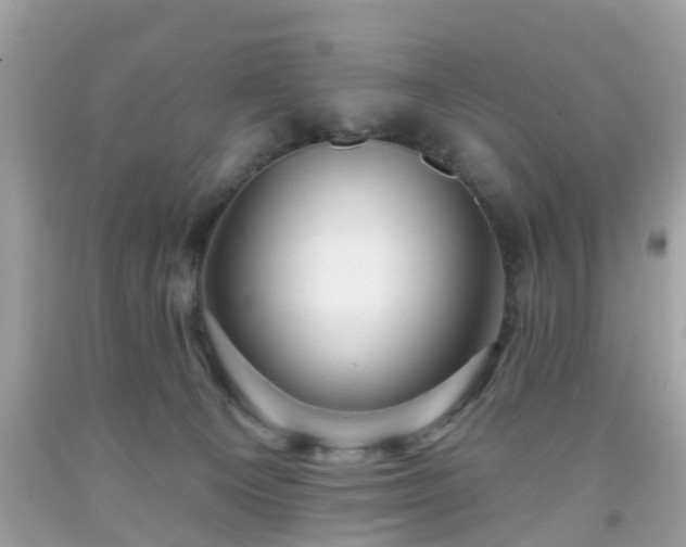 X0000091990129200709131502