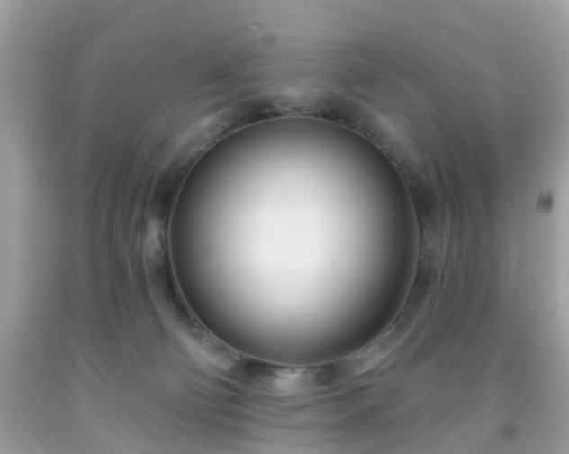X0000091990130200709131502