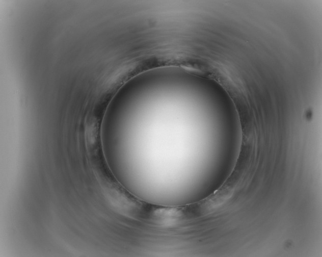 X0000091990133200709131502