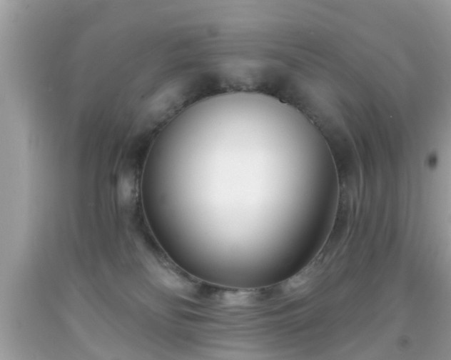 X0000091990134200709131502