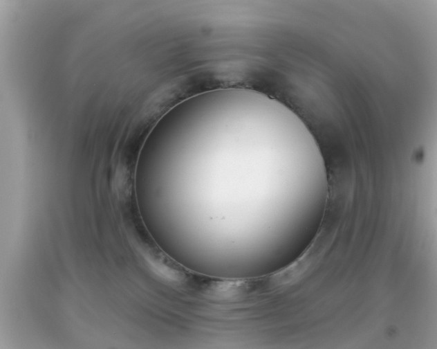 X0000091990136200709131502