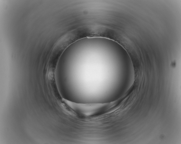 X0000091990137200709131502