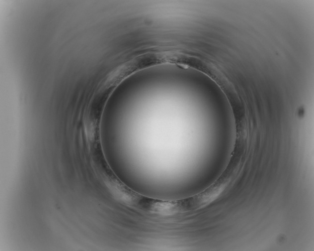 X0000091990139200709131502