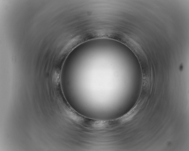 X0000091990142200709131502
