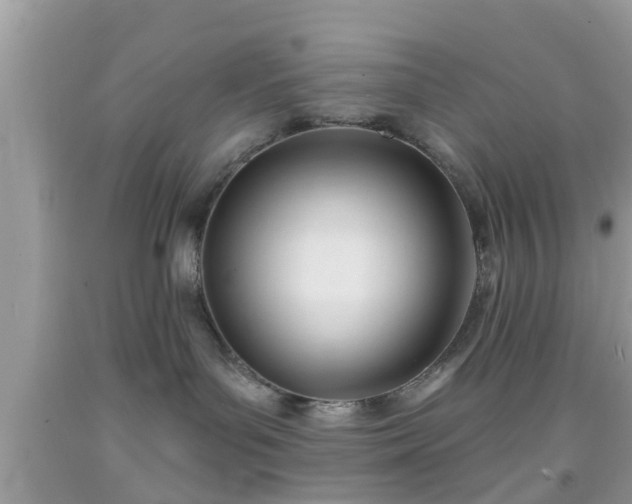 X0000091990143200709131502