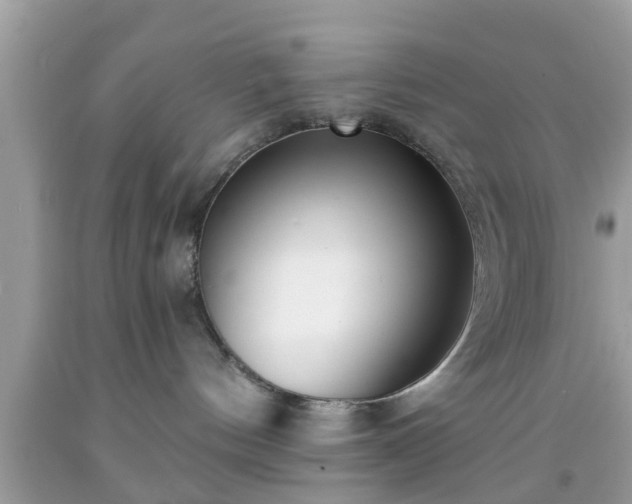 X0000091990144200709131502