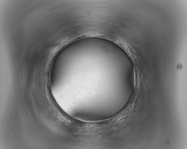 X0000091990145200709131501
