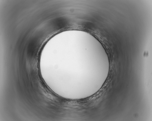 X0000091990146200709131501