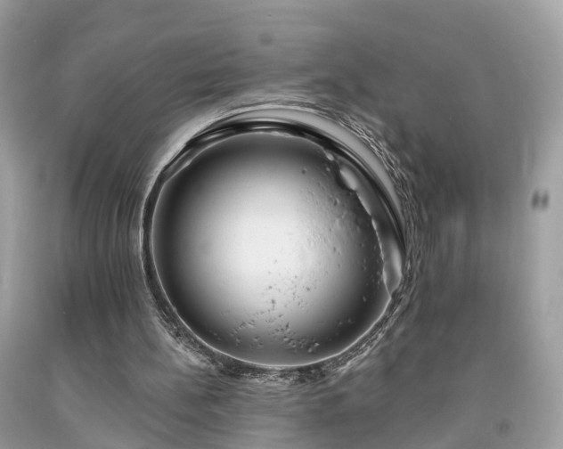 X0000091990148200709131501