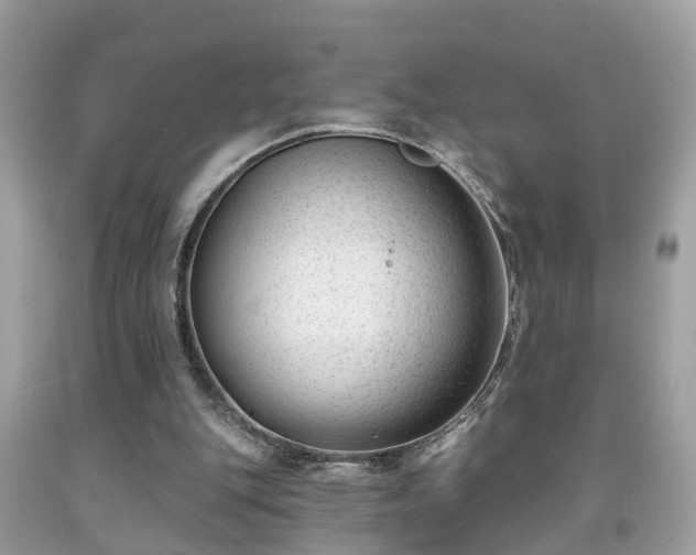 X0000091990151200709131501