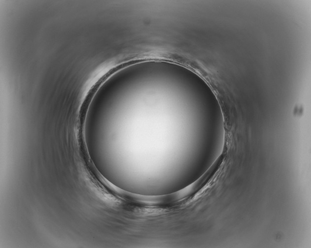 X0000091990152200709131501