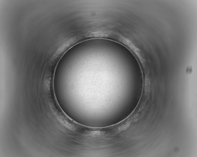 X0000091990153200709131501