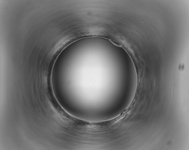 X0000091990154200709131501