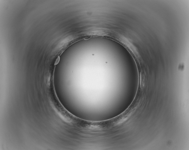 X0000091990157200709131501