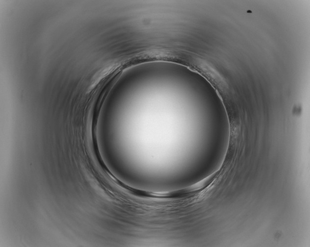 X0000091990158200709131501