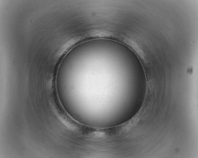 X0000091990159200709131501