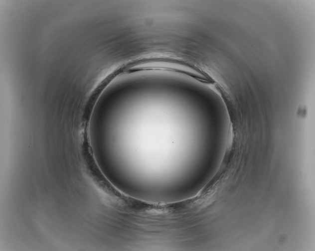 X0000091990160200709131501