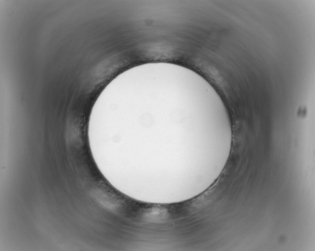 X0000091990162200709131501