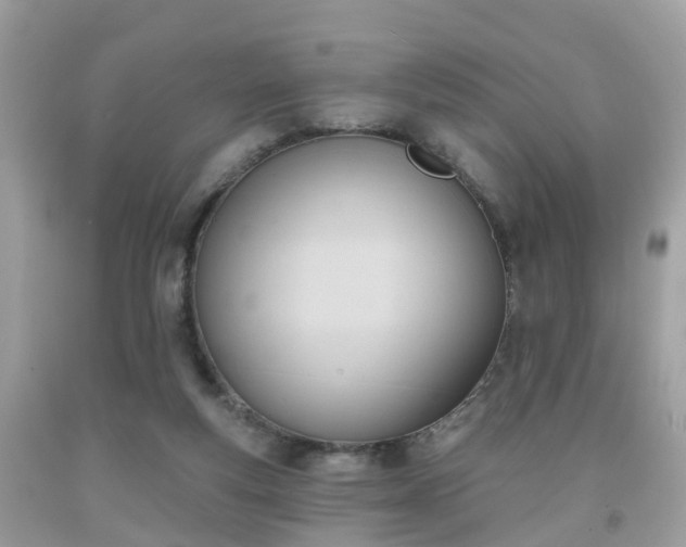 X0000091990163200709131501