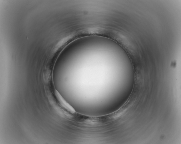 X0000091990164200709131501