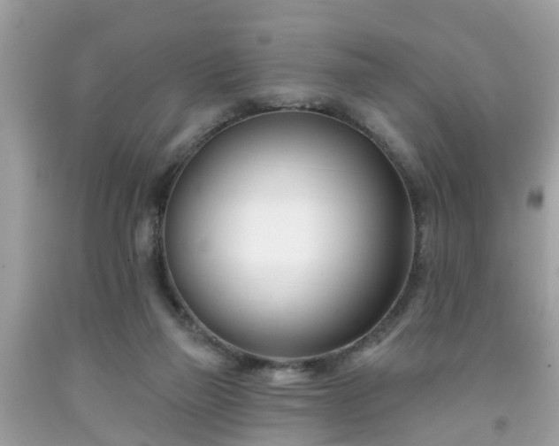 X0000091990165200709131501