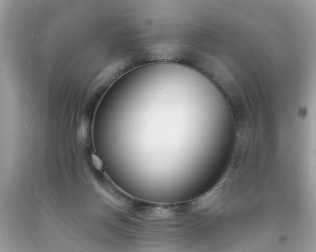 X0000091990166200709131501
