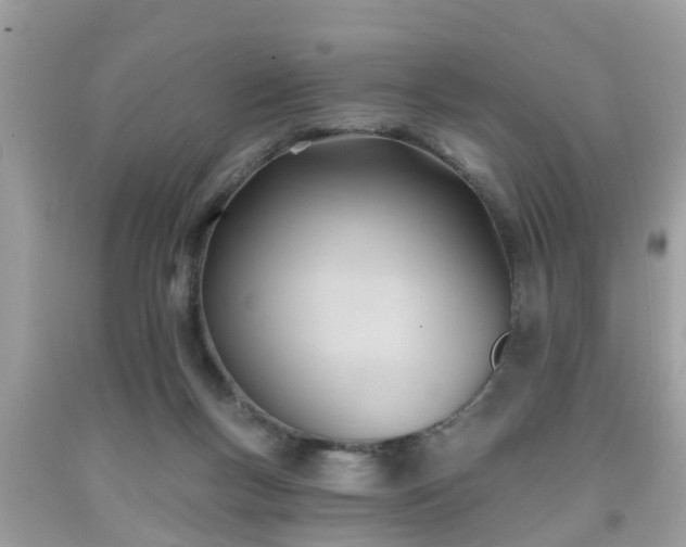 X0000091990167200709131501