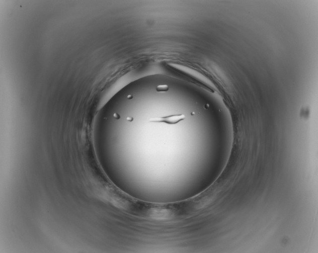 X0000091990169200709131501