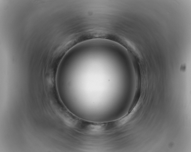 X0000091990170200709131501