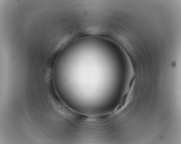 X0000091990171200709131501