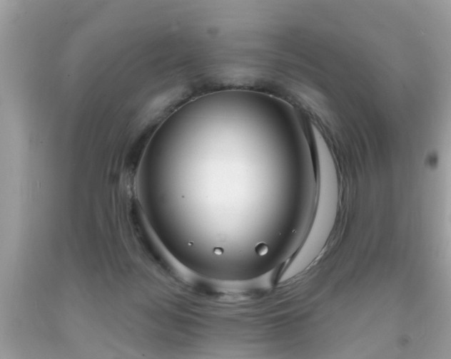 X0000091990172200709131501