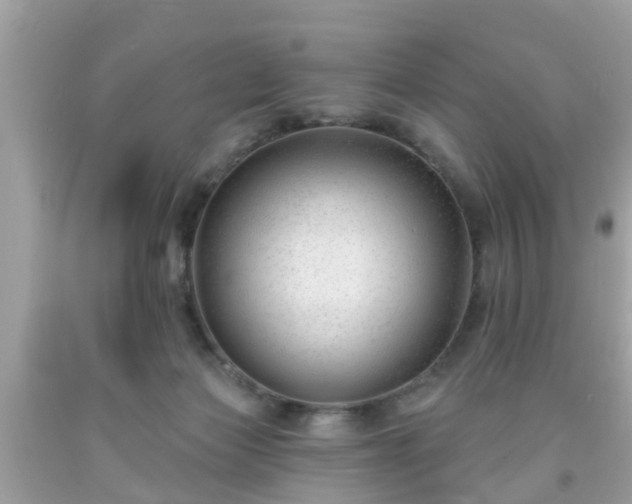 X0000091990173200709131501