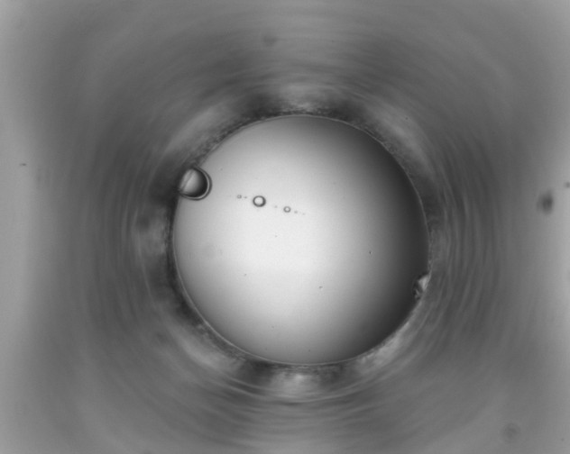 X0000091990174200709131501