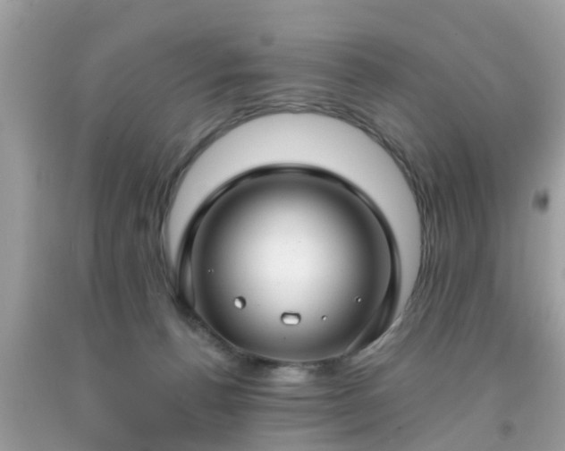 X0000091990176200709131502