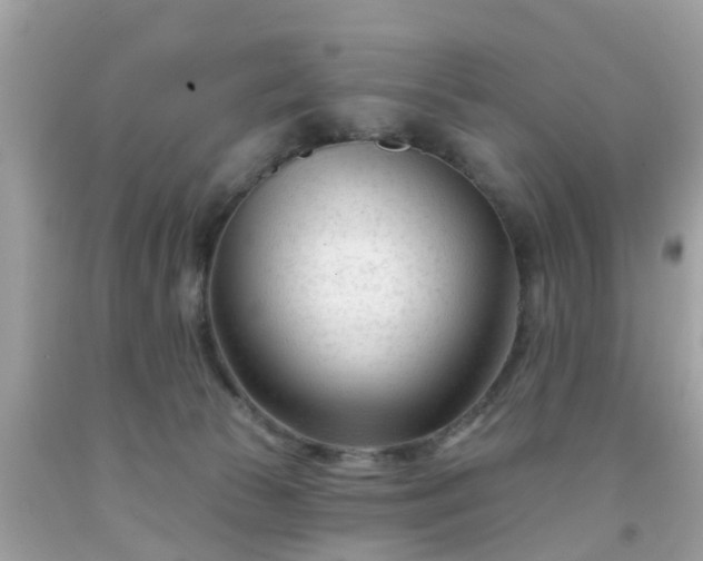 X0000091990177200709131502