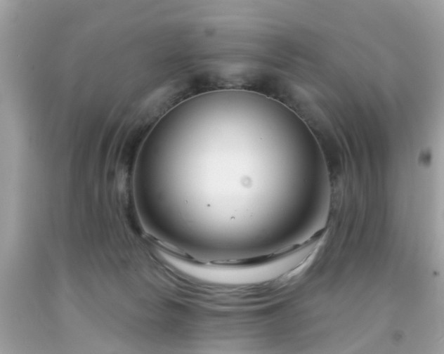 X0000091990178200709131502