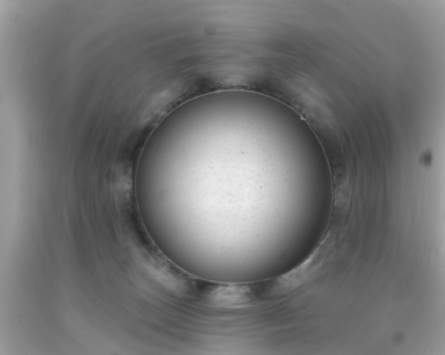 X0000091990179200709131502