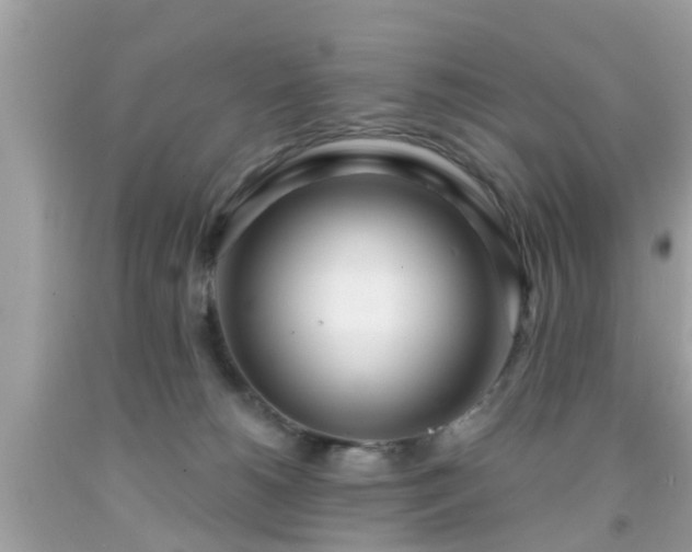 X0000091990180200709131502