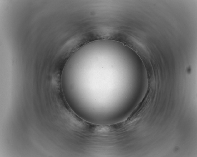 X0000091990181200709131502
