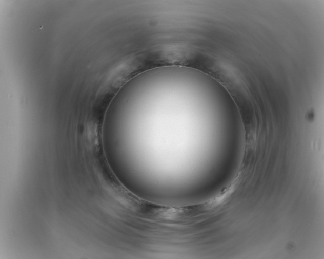 X0000091990182200709131502
