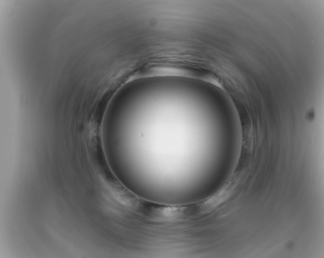 X0000091990184200709131502