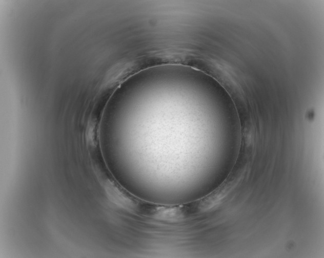 X0000091990185200709131502