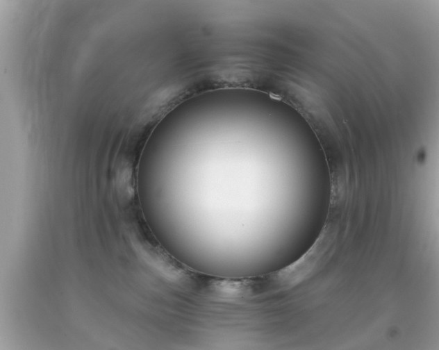 X0000091990187200709131502