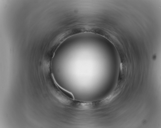 X0000091990188200709131502